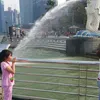 afiqah