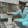 Ramzi Wakil Bupati Cianjur
