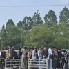 peserta antre audisi D'Academy 8