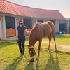 Aura Kasih mengelus kuda