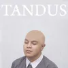 Meme Cover Album Tulus
