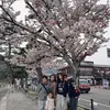 Artis Liburan Jepang