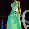 Putri indonesia 2006