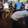 Alya Rohali
