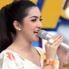 Anang Hermansyah / Ashanty / Aurel