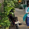 Anas Urbaningrum