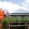 Dirikan Museum Kata