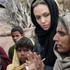 angelina jolie hamil
