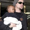 angelina jolie hamil