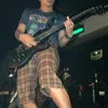 anima band