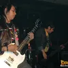 anima band