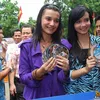 Anwar Fuadi, Yenny Rachman, Oppie Andaresta, The Sister