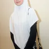 arumi bachsin