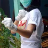 asti ananta