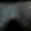 GODZILLA