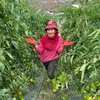 Pedangdut Petani Desa Alih Profesi Banting Setir