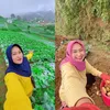 Pedangdut Petani Desa Alih Profesi Banting Setir