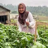 Pedangdut Petani Desa Alih Profesi Banting Setir