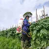 Pedangdut Petani Desa Alih Profesi Banting Setir
