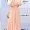 red carpet seoul drama awards 2017