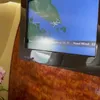 Syahrini mudik ke Indonesia