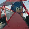 Sonic The Hedgehog 2