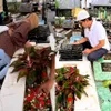 Elvy Sukaesih Suami meninggal Nyekar