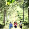 BTS 3 Srikandi