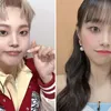 Idol K-Pop Lookalike