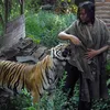 Abdullah Sholeh dan Harimau Benggala