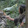 Abdullah Sholeh dan Harimau Benggala