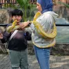 Abay Anak Deswita dan Ferry Maryadi