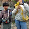 Abay Anak Deswita dan Ferry Maryadi