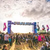 festival musim panas liar