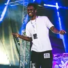 festival musim panas liar