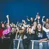 festival musim panas liar