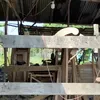 Rumah Sridevi Juara D\'Academy Prabumulih
