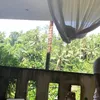Laudya Cynthia Bella