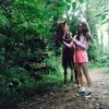 kai exo, krystal f(x)