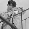 Kecocokan Cewek Sagitarius dan Woozi SEVENTEEN