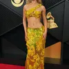 Red Carpet Grammy Awards 2026