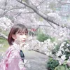 kencan sakura idola K-Pop ala manga