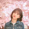 kencan sakura idola K-Pop ala manga