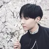 kencan sakura idola K-Pop ala manga