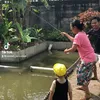 Soimah Sederhana