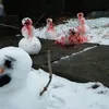 Manusia Salju Horror