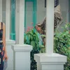 Bidadari Terakhir