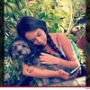 Anjing Selebritis