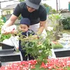 Gala Sky anak Vanessa Angel