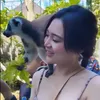 Wika Salim Ketiak 